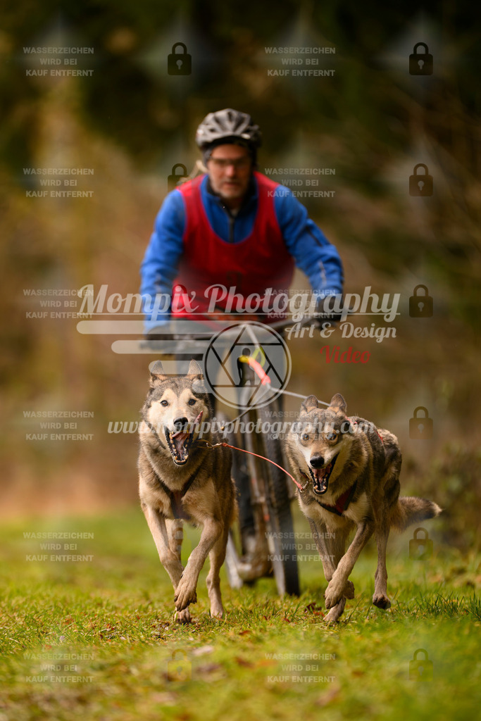 MompixPhotography_2SSTSSBW_2025_SO_Scooter-91 | PayLife