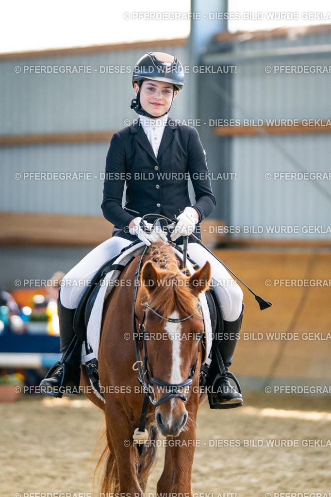 DSC01702 | Pferdegrafie