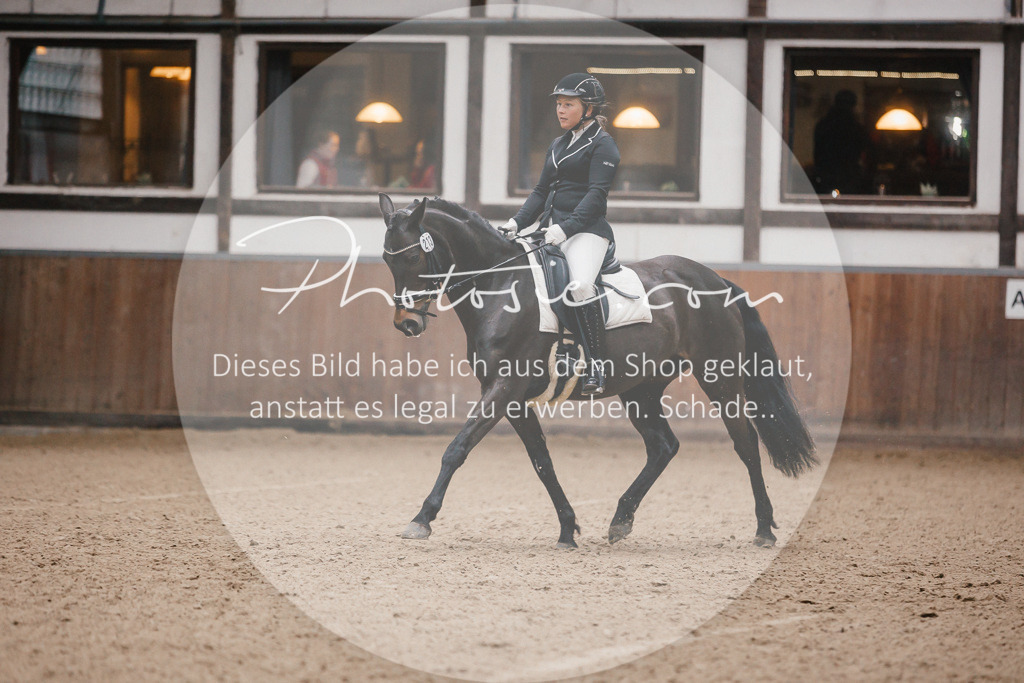 3I6A6516 | Stimmungsvolle Portraits und Reitsportfotografie im Ruhrgebiet und im Münsterland.

Pferdefotografie, Hundefotografie, Tierfotografie, Reportagen, Portraits von Tier und Mensch, Turnierfotografie in Bochum, Recklinghausen, Marl, Haltern am See, Dülmen.. - Realisiert mit Pictrs.com
