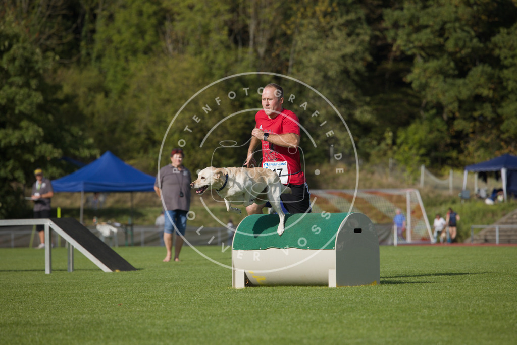 0L8A3865 | Hundefotografie, Tierfotograf, Pfotenfotografie, Fotoshooting Hund, Hunde Portrait, Hundesport, Hundeportraits, Heideshooting, Hunde, Sportfotograf, Hundefotograf, Turnierhundsport, THS,  - Realisiert mit Pictrs.com