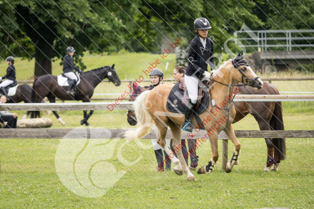 IMG_2257 | Sport-, Event- und Tierfotos in Profiqualität. Einfach auswählen, bestellen und herunterladen. Dein Moment – perfekt festgehalten.