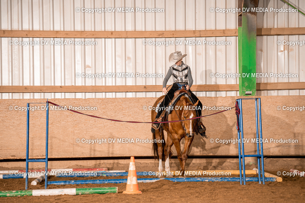 BA400209 | dv-media-shop - Realisiert mit Pictrs.com