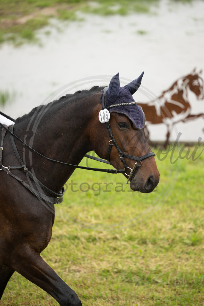 994A1747 | sabrinanicolaifotografie - Realisiert mit Pictrs.com