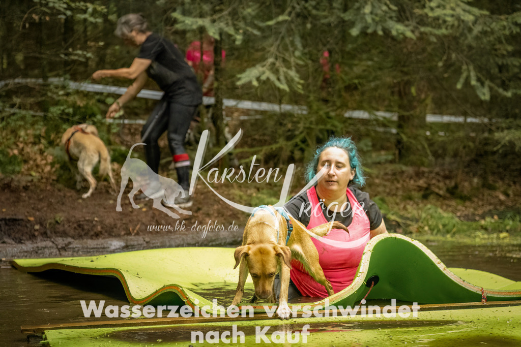 1418_ZZ91882-Bearbeitet | kk-dogfotos