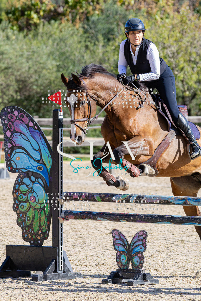 IMG_0802 | s-jay-photography - Realisiert mit Pictrs.com