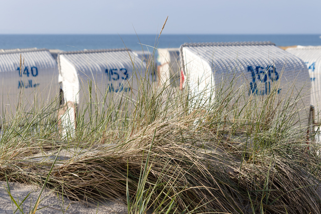 Wandbild: Strandkörbe hinter dem Dünengras – Grömitz | Dieses Wandbild zeigt eine ruhige Szene vom Strand in Grömitz. Im Vordergrund wächst hohes Strandgras auf sandigem Boden und verleiht dem Motiv eine natürliche Rahmung. Dahinter stehen mehrere weiße Strandkörbe in geordneter Reihe, teilweise vom Gras verdeckt, was dem Bild Tiefe und Struktur verleiht. Der Blick reicht bis zum Meer, das sich ruhig und weit unter einem hellen Himmel erstreckt. Die Komposition verbindet die natürliche Vegetation der Küste mit der typischen Strandordnung und schafft eine Atmosphäre von Gelassenheit und Urlaub. Dieses Motiv eignet sich ideal als Wandbild für maritime Wohnkonzepte – ob als Leinwandbild, Acrylglasbild, Alu-Dibond FineArt Print oder als Akustikbild. Ein stilvoller Akzent für Wohnzimmer, Büro oder Ferienwohnung. - Realisiert mit Pictrs.com