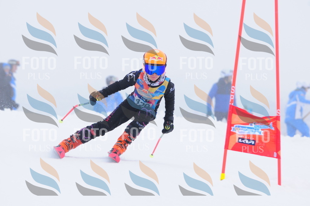 C3425 | holidayphoto