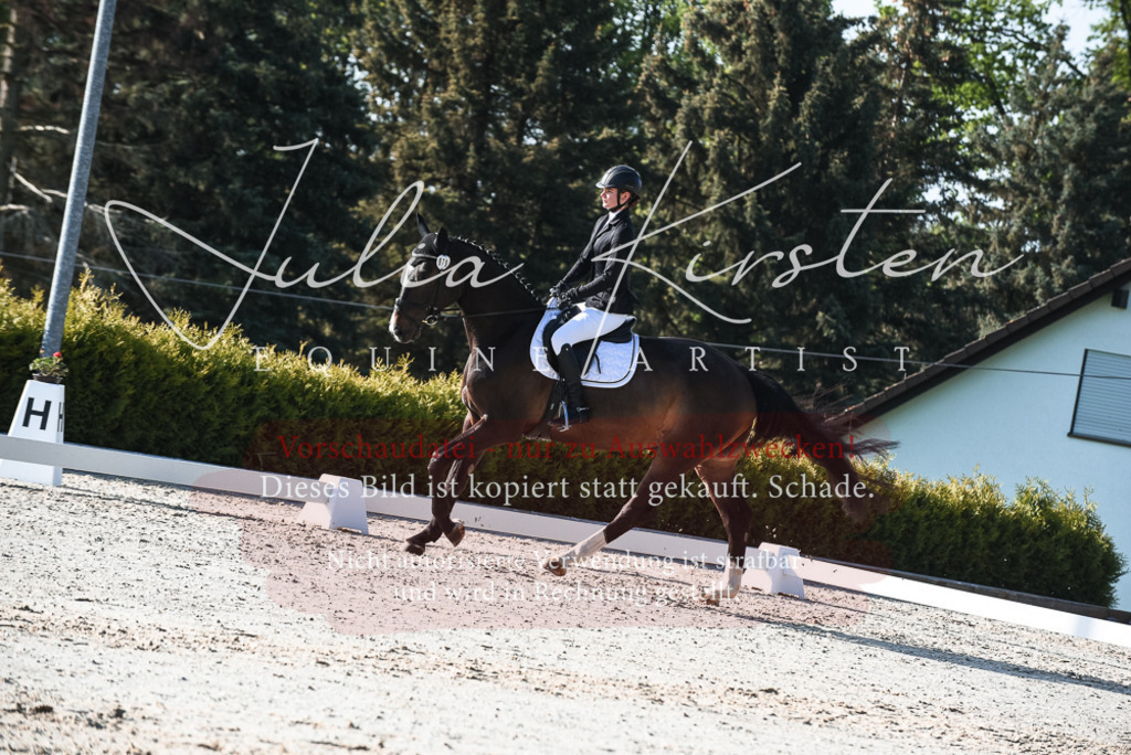 20230518_JK-Röhrsdorf-09-0561 | Pferde- und Turnierfotografie in Westsachsen. Pferdeportraits, Auftragszeichnungen und intuitive Kunst.