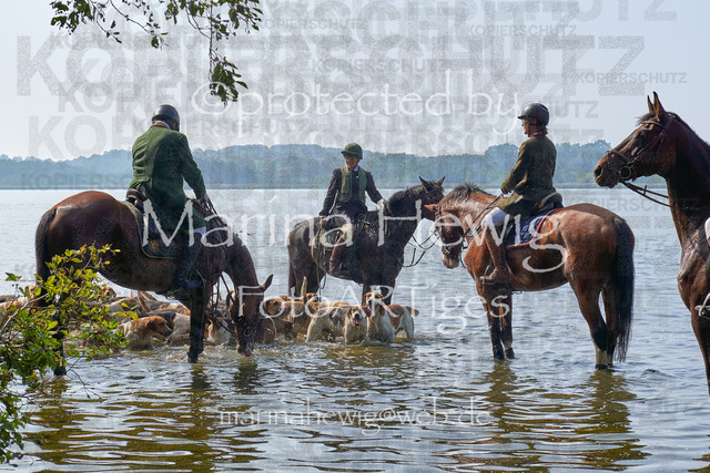 09-23 JAgd PerdölDSC02224_Marina Hewig | Fotografie, FotoArt, PferdesportArt, Pferdesportfotografie, Landschaftsfotografie, Reisefotografie, Reise, Pferde - Realisiert mit Pictrs.com