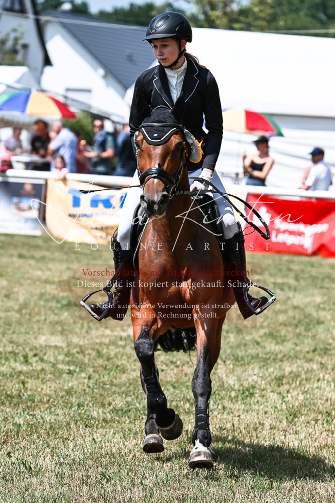 DSC_9501 | Pferde- und Turnierfotografie in Westsachsen. Pferdeportraits, Auftragszeichnungen und intuitive Kunst.