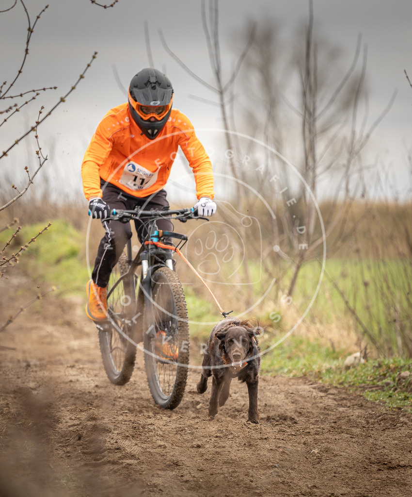 DV3A0803 | Hundefotografie, Tierfotograf, Pfotenfotografie, Fotoshooting Hund, Hunde Portrait, Hundesport, Hundeportraits, Heideshooting, Hunde, Sportfotograf, Hundefotograf, Turnierhundsport, THS,  - Realisiert mit Pictrs.com