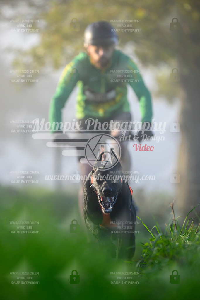 MompixPhotography_20TSB_E3_Bike-51 | PayLife