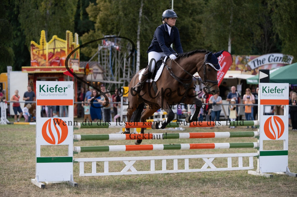 A7V09288 | Pferdefotograf