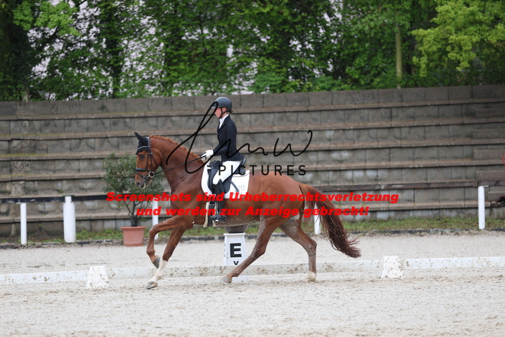 A40A8290 | lmwpictures - Realisiert mit Pictrs.com