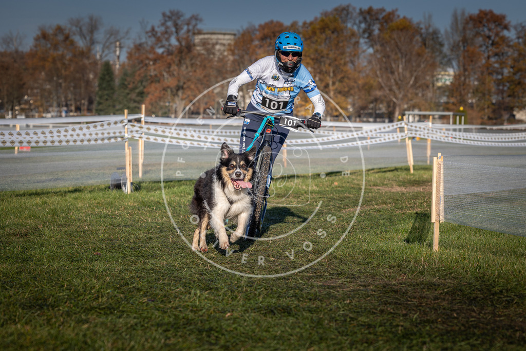 CaniXpix_0L8A4154 | Hundefotografie, Tierfotograf, Pfotenfotografie, Fotoshooting Hund, Hunde Portrait, Hundesport, Hundeportraits, Heideshooting, Hunde, Sportfotograf, Hundefotograf, Turnierhundsport, THS,  - Realisiert mit Pictrs.com