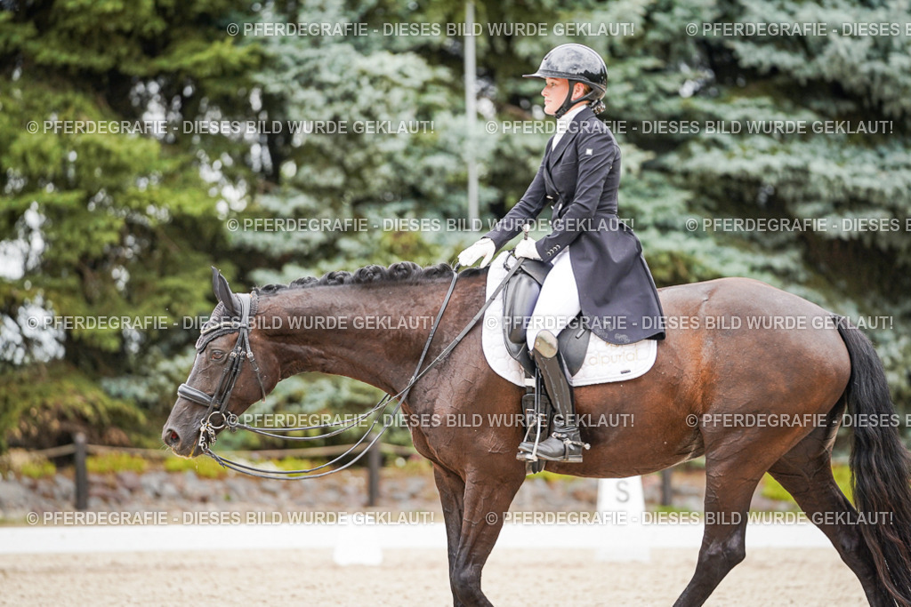 DSC07158 | Pferdegrafie