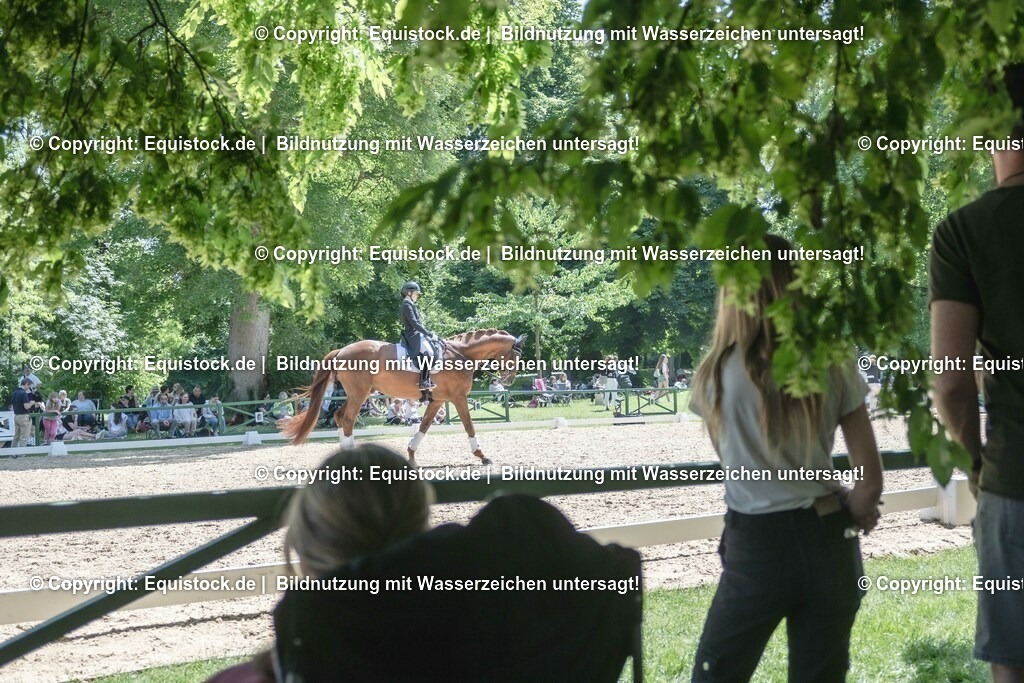 ZFC_4224 | equistock