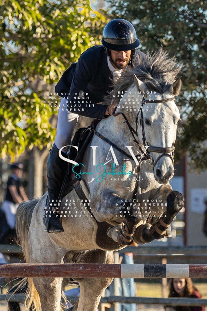 IMG_2550 | s-jay-photography - Realisiert mit Pictrs.com