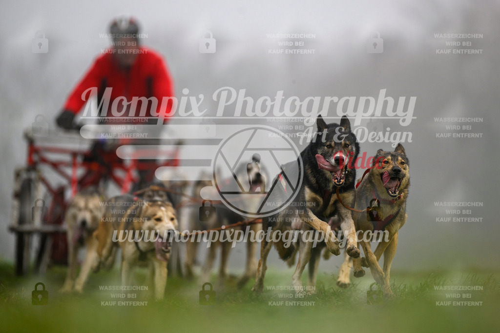MompixPhotography_CDF2023_FFST_Di_Kart-81 | PayLife