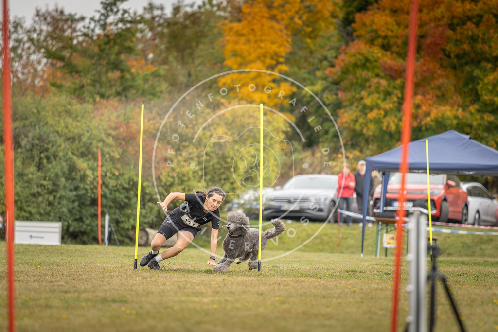 Pfotenfotografie_DV3A3726 | Hundefotografie, Tierfotograf, Pfotenfotografie, Fotoshooting Hund, Hunde Portrait, Hundesport, Hundeportraits, Heideshooting, Hunde, Sportfotograf, Hundefotograf, Turnierhundsport, THS,  - Realisiert mit Pictrs.com