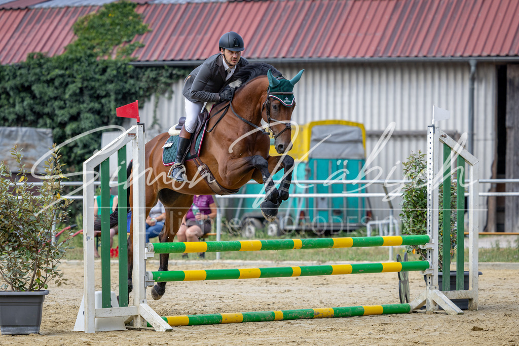 20260704-_3LI6366 | Tierfotografie Pferde, Hunde, Katzen, Haustiere.
Turnierfotografie Reitturniere, Reiten, Springreiten, Dressur in Hanau, dem Main-Kinzig-Kreis und dem Rhein-Main- Gebiet um Frankfurt