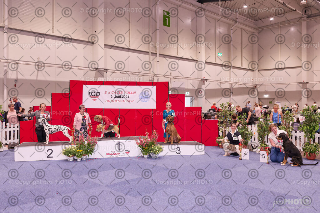 202406_ÖKV-IHA-Tulln24_NZ9_9539 | proPHOTO - Realisiert mit Pictrs.com