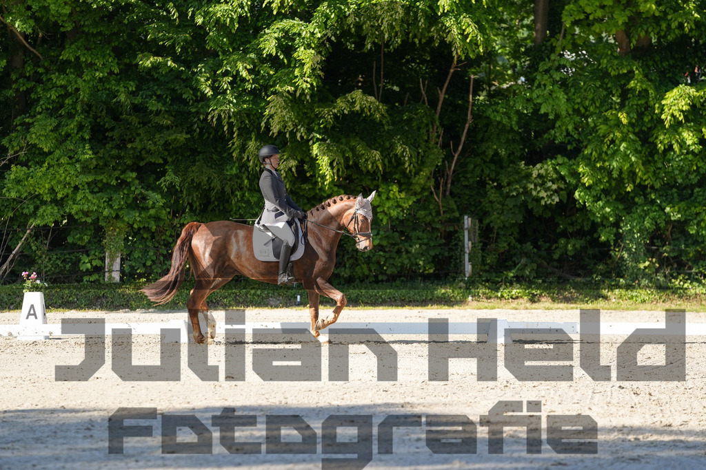 DSC00809 | Julian Held Fotografie - Realisiert mit Pictrs.com