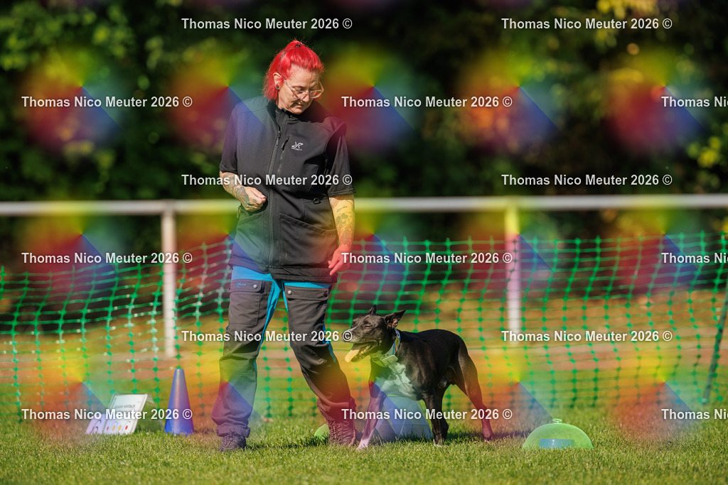 Thomas_Nico_Meuter(C)_04. Oktober 2026_223A2359 | Bild von Thomas Nico Meuter - Realisiert mit Pictrs.com