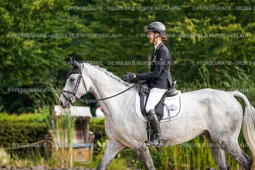 DSC00154 | Pferdegrafie