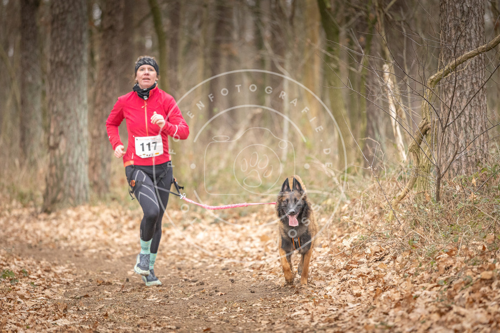 Pfotenfotografie_DV3A7735 | Hundefotografie, Tierfotograf, Pfotenfotografie, Fotoshooting Hund, Hunde Portrait, Hundesport, Hundeportraits, Heideshooting, Hunde, Sportfotograf, Hundefotograf, Turnierhundsport, THS,  - Realisiert mit Pictrs.com