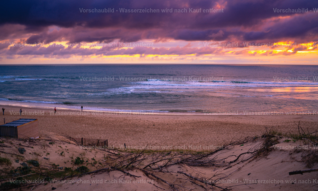 DSC01602 | marcuslinek