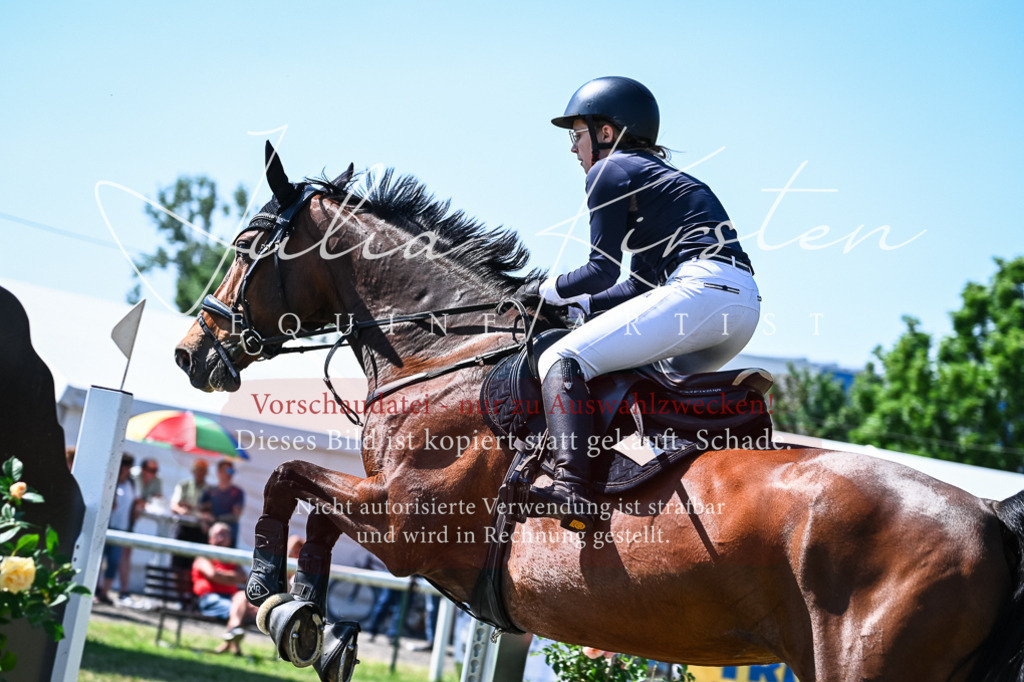 DSC_1541 | Pferde- und Turnierfotografie in Westsachsen. Pferdeportraits, Auftragszeichnungen und intuitive Kunst.