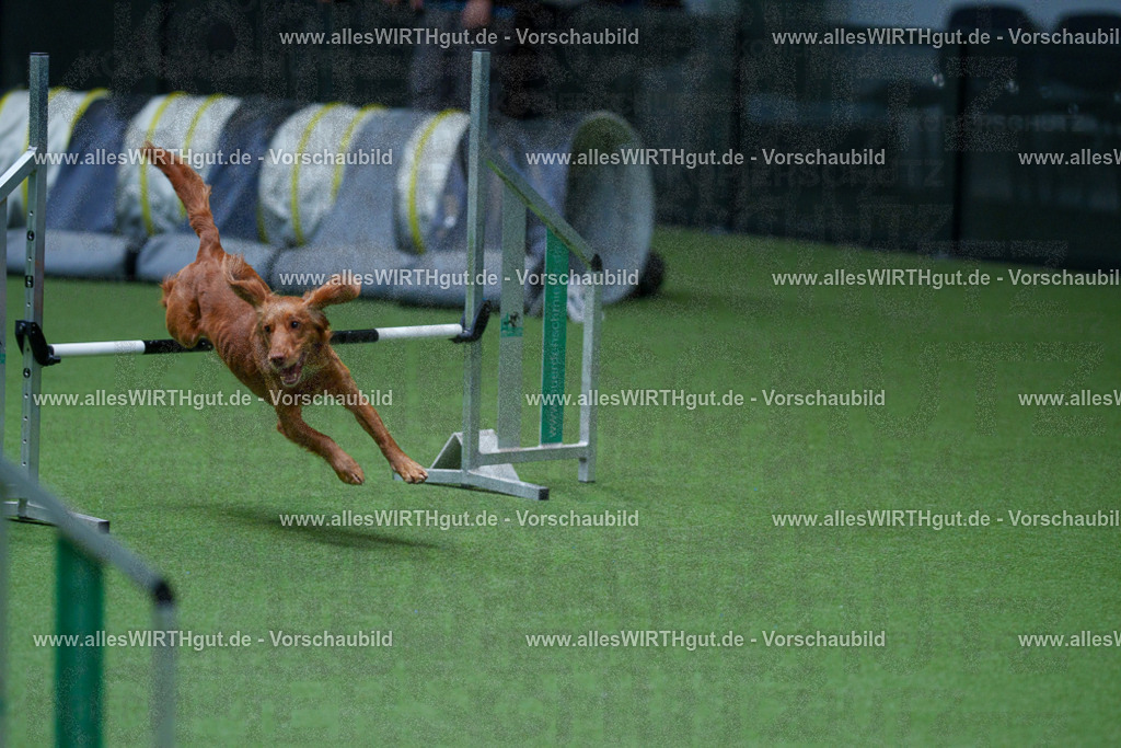 @allesWIRTHgut_Tierfotografie - www.allesWIRTHgut.de - 2604251117-7R500143 | Professionelle Tierfotografie in Mönchengladbach von Daniel Wirth (allesWIRTHgut). Liebevolle & natürliche Bilder von Hunden & Katzen für unvergessliche Erinnerungen.