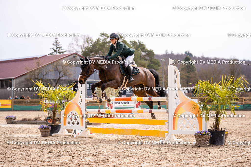 Kranichstein Tag 2-583 | dv-media-shop - Realisiert mit Pictrs.com