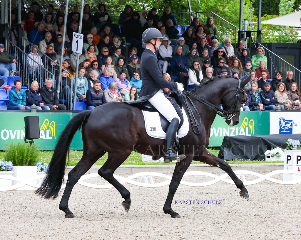 1B3A7799 | Reitsport Reiten