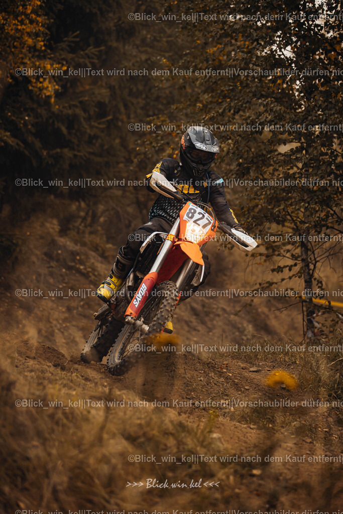 E68A3765 | blick_win_kel