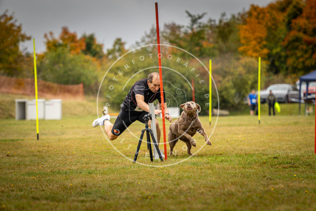 Pfotenfotografie_DV3A2322 | Hundefotografie, Tierfotograf, Pfotenfotografie, Fotoshooting Hund, Hunde Portrait, Hundesport, Hundeportraits, Heideshooting, Hunde, Sportfotograf, Hundefotograf, Turnierhundsport, THS,  - Realisiert mit Pictrs.com