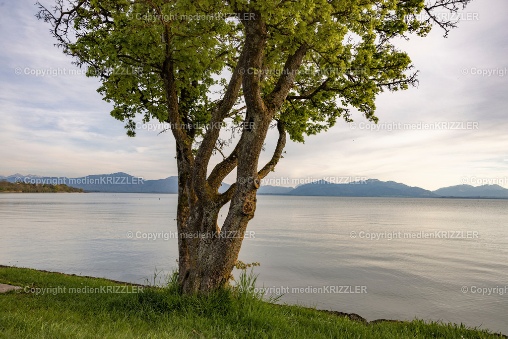 _J3A0566 | medienkrizzler - Realisiert mit Pictrs.com