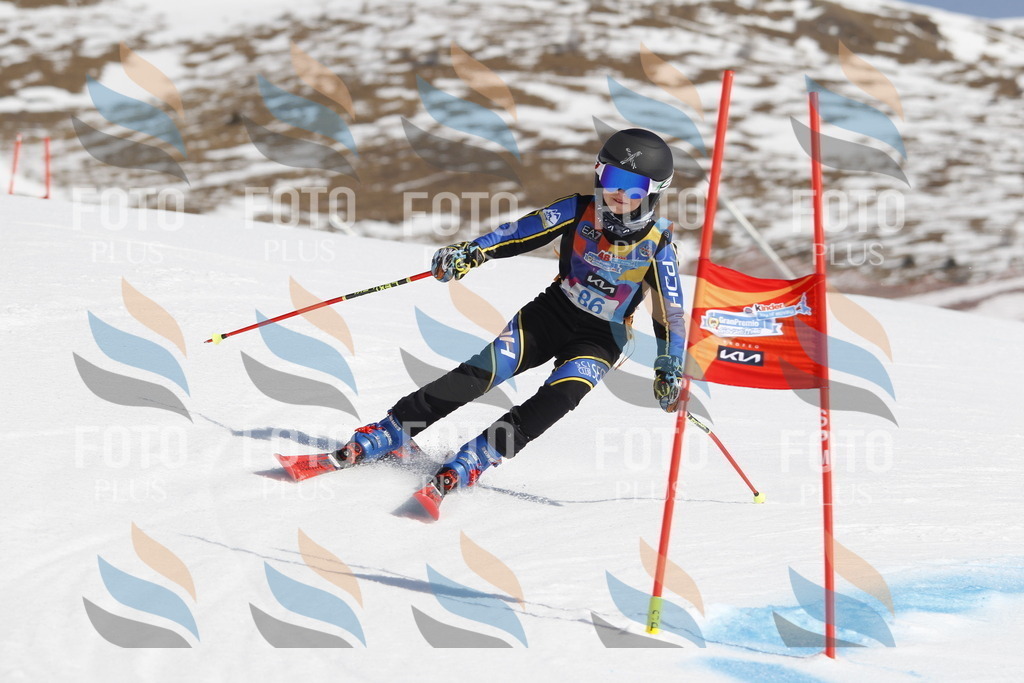 _U3G0088 | holidayphoto