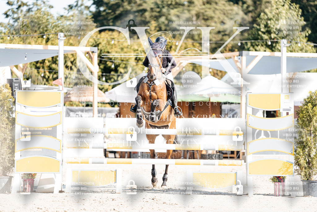 CK901749 | Turnierfotografie Pferdefotografie Trier Rheinland-Pfalz Pferdesport Reitsport Tierfotografie Sportfotografie Pferdevideo Pferdevideografie Equestrianvideography equestrianphotography  - Realisiert mit Pictrs.com