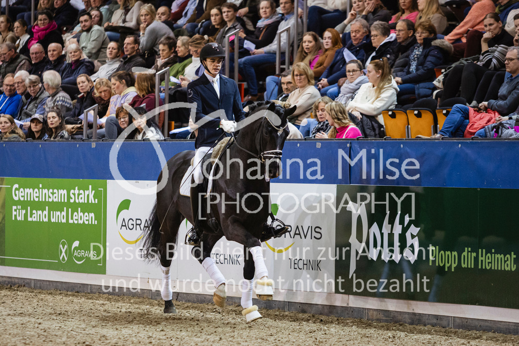 250108_Muenster_Hengstpräsentation-113 | Deine schönsten Turniermomente als professionelle Fotos! Entdecke hochwertige Pferdesport-Fotografie im Online-Shop. Jetzt Fotos finden & bestellen!