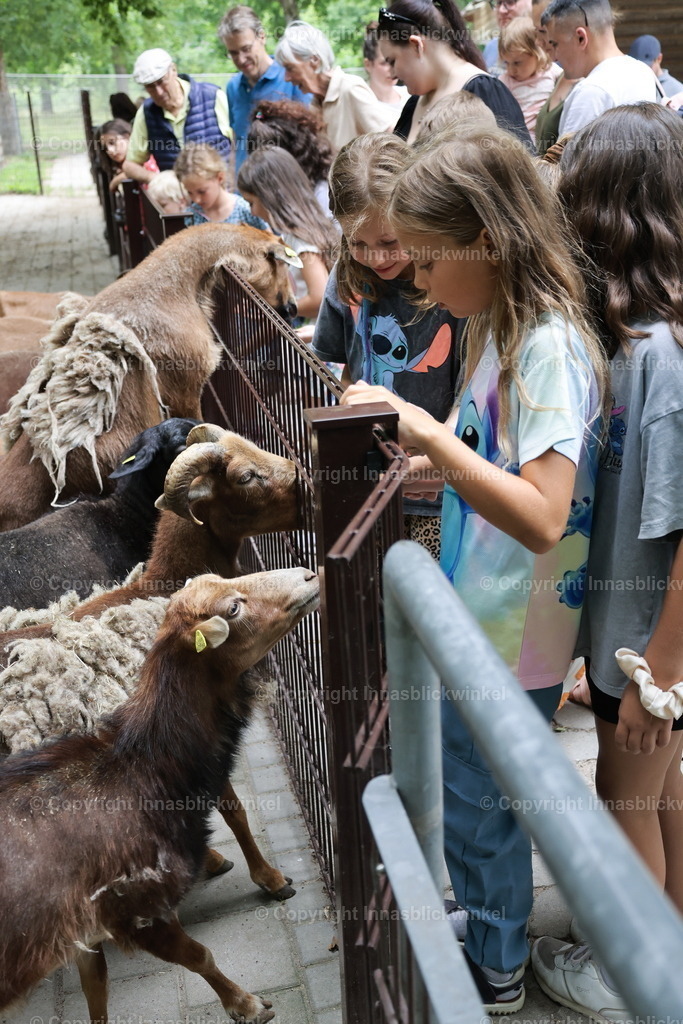 20 | Outdoor Fotografie. Kinder- Familien und Portraitfotografie. Natürliche lebendige Fotos draußen an einer Location deiner Wahl. 
