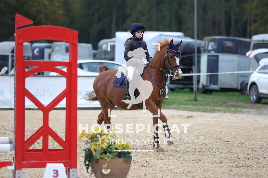 0P6A7727 | Willkommen bei Brunnmayr - Design & Fotografie – Ihrem Spezialisten für Reitturniere und Pferdeveranstaltungen in Oberösterreich, Salzburg und Bayern! Seit über 17 Jahren sind wir leidenschaftlich dabei.