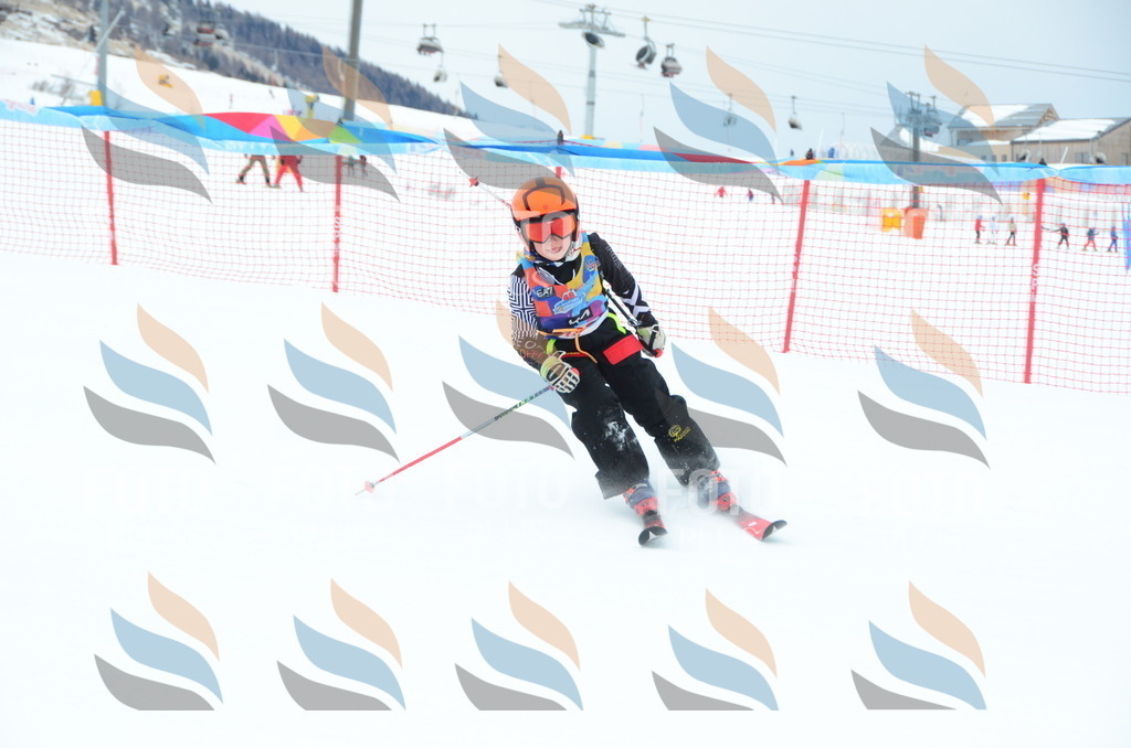 DSC_1809 | holidayphoto