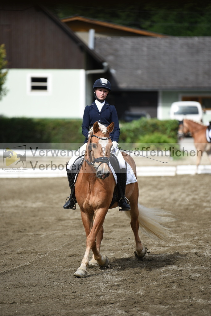 DSC_4973 | equestrian-live-com
