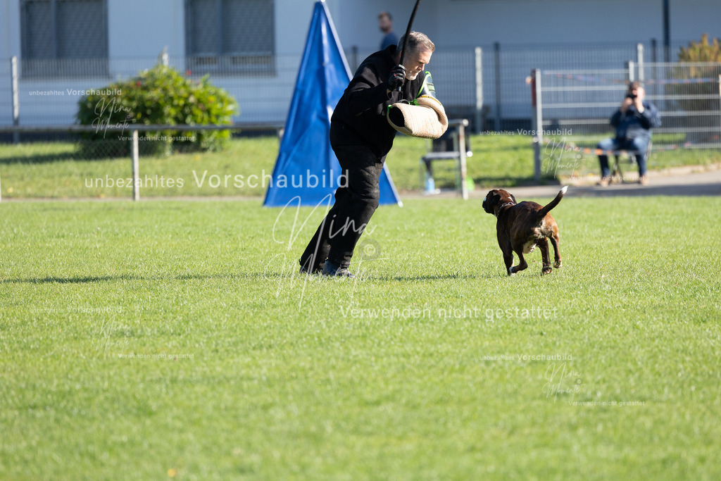 _16A5139 | Einzigartige Fotos von Hunden & Menschen –Actionfotos, Portraits, Vereinsaufnahmen & Paarshootings – authentisch, lebendig & mit Herz.