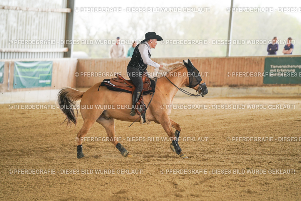 DSC07504 | Pferdegrafie