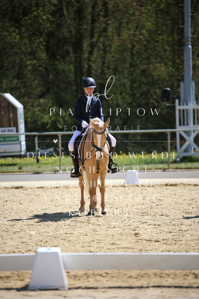 IMGT1149 | pl-fotografie