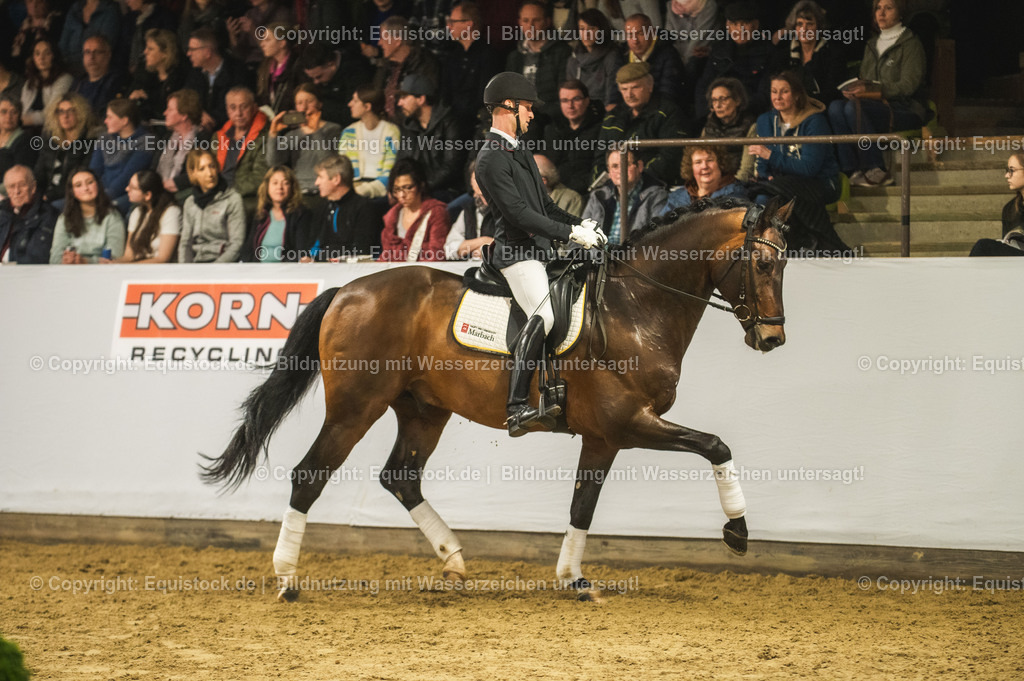 20240302_Hengstvorstellung_Marbach_TOMsPiC_1245 | equistock