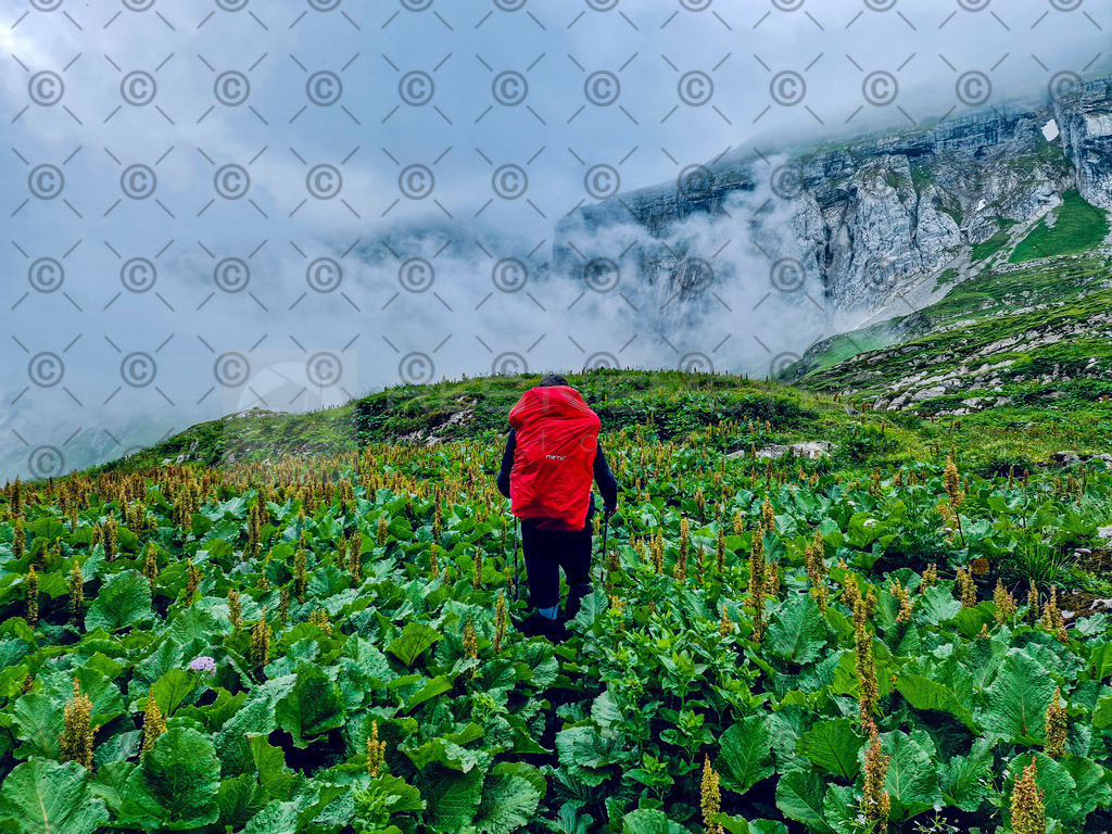 20230703_082658 | Res Niemeyer Photography - Realisiert mit Pictrs.com